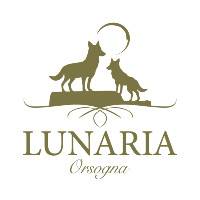 Lunaria - Chieti